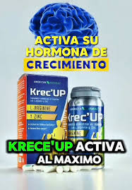 KREC UP CAPSULAS X60 AMERICAN NATURAL